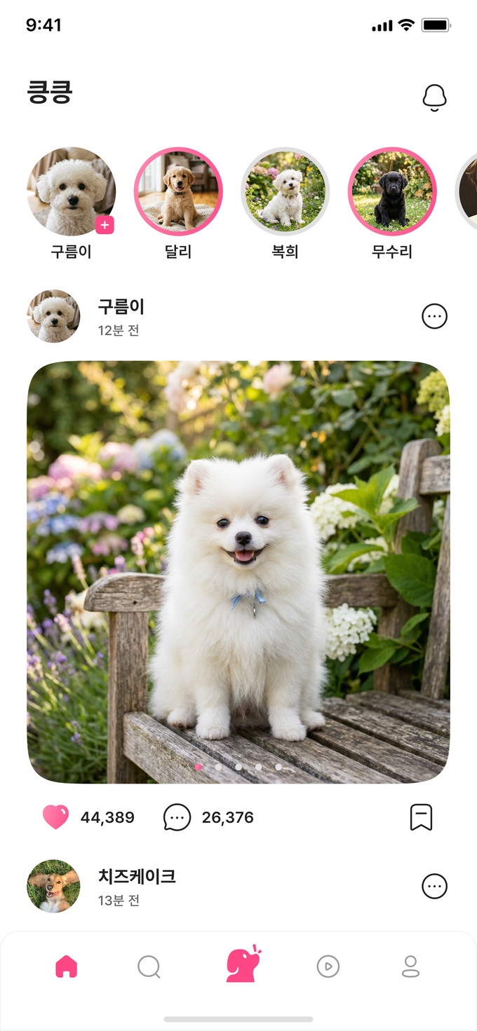 킁킁 앱 메인 화면 — 우리 동네 강아지 피드